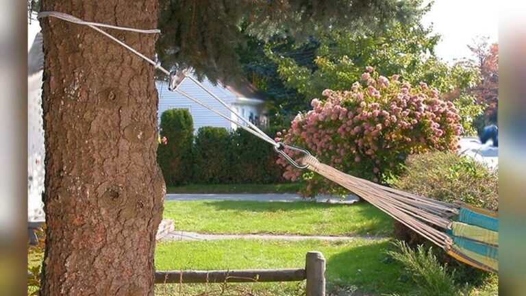 How Do You Hang a Hammock from a Tree: Easy Steps for Beginners