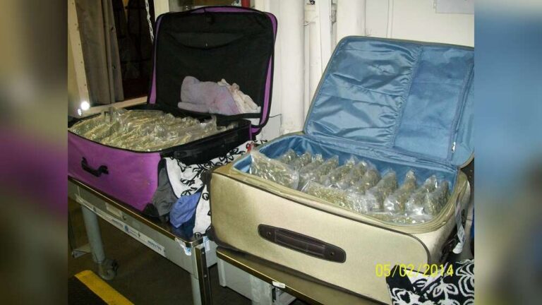 What Happens If TSA Finds Weed in Checked Luggage: Know the Risks