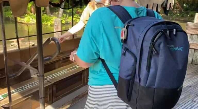 Can You Bring A Backpack Into Disney World