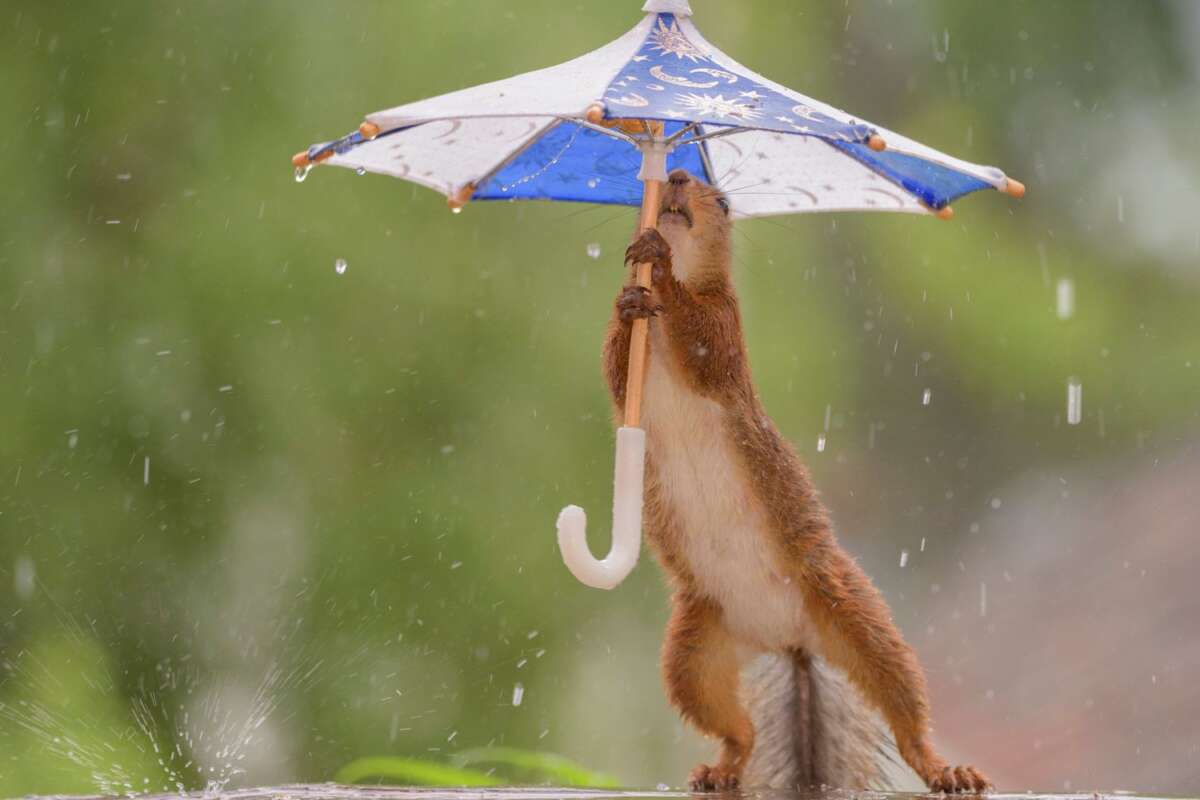 When Was The Umbrella Invented